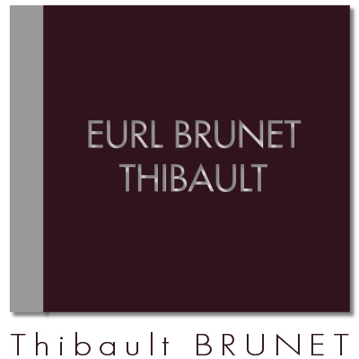 EURL BRUNET THIBAULT Plaquiste
